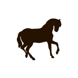 Equinos