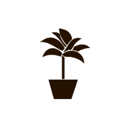 Huerta y Jardín